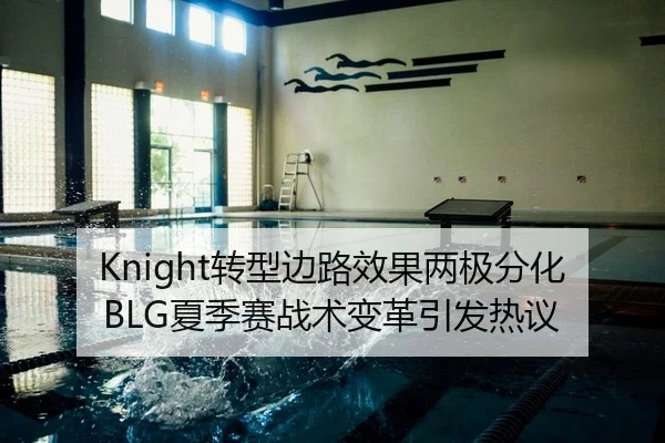 Knight转型边路效果两极分化 BLG夏季赛战术变革引发热议